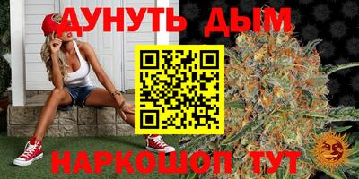 Альфа ПВП Краснознаменск