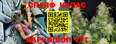 Альфа ПВП Краснознаменск