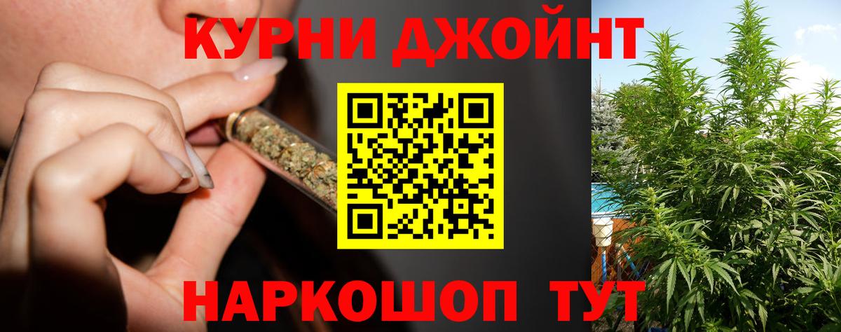 Конопля ГИДРОПОН  Бошки Шишки White Widow  Ишим  Марихуана гибрид  Канабис сатива  Вход с VPN 